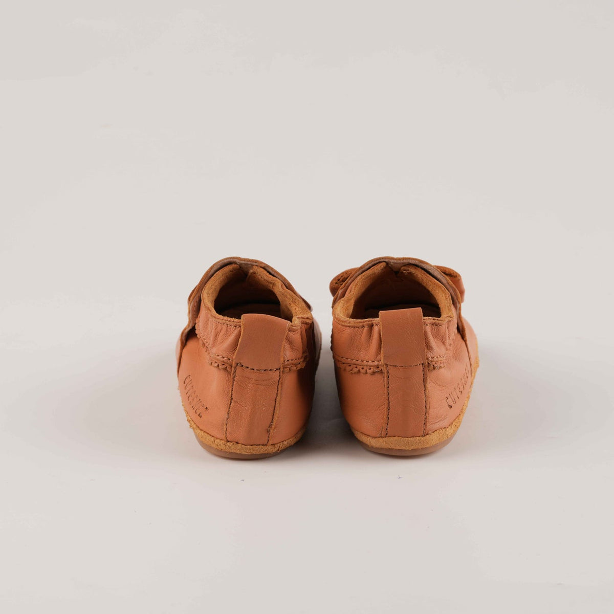 Papillon Camel