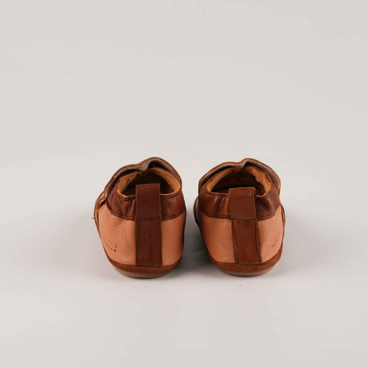 Palmier Marron