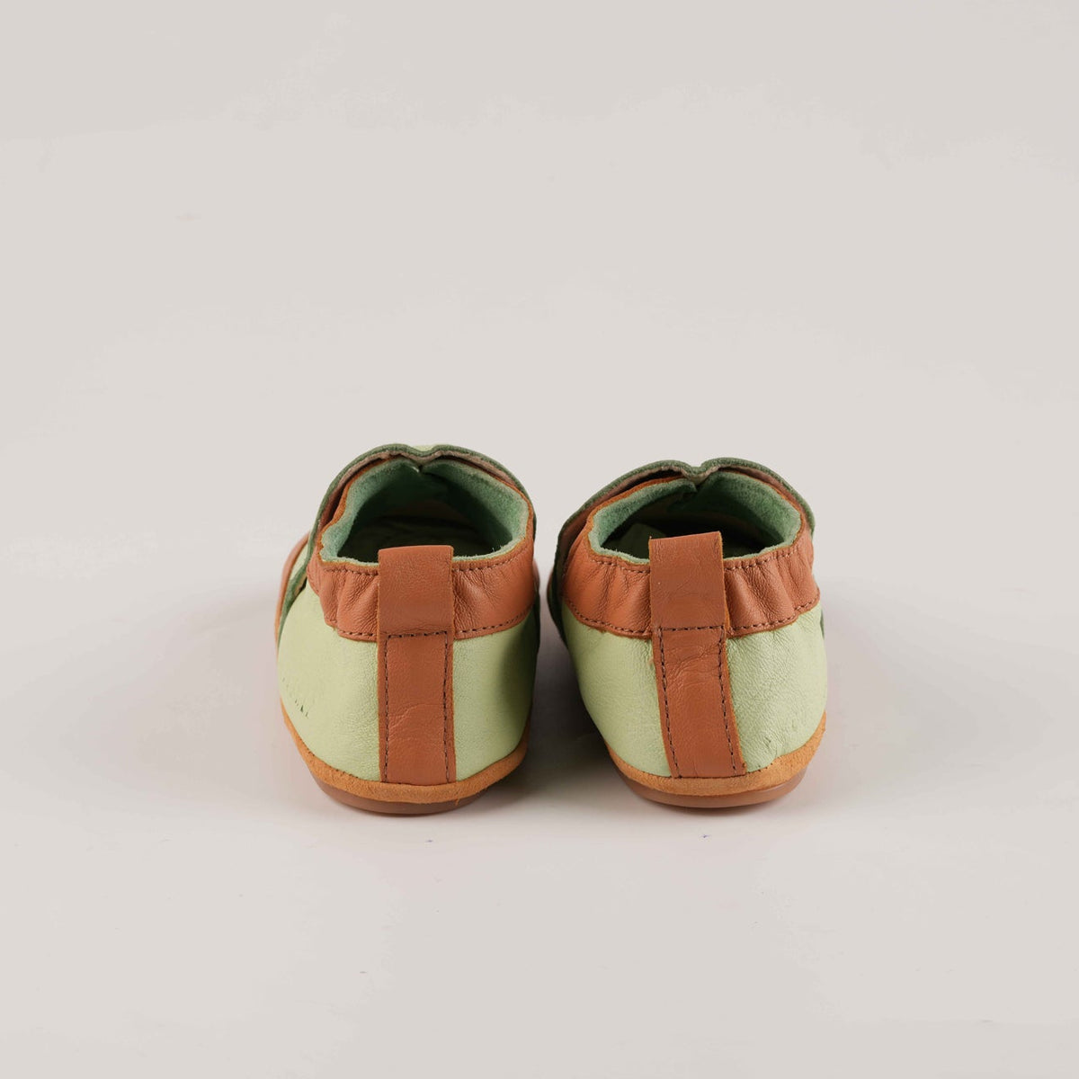 Palmier Vert