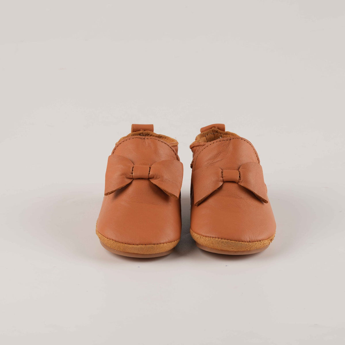 Papillon Camel